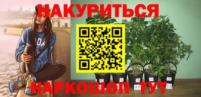 стафф Кинель