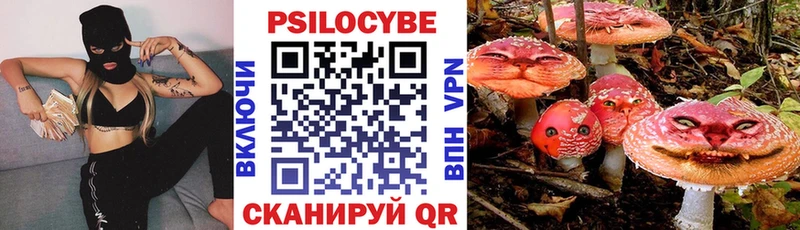 Псилоцибиновые грибы Psilocybe Кыштым
