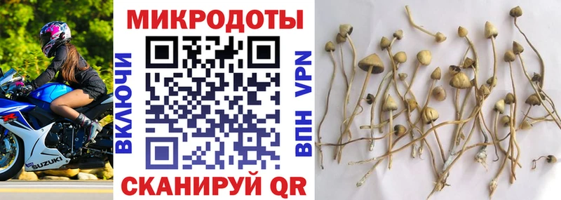 mega tor  Кыштым  Галлюциногенные грибы мухоморы 